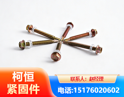 商丘六角钻尾丝
